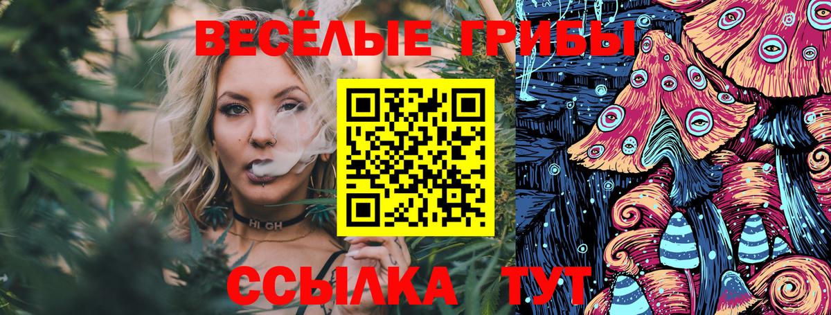 Псилоцибиновые грибы Psilocybe  Вход с VPN  Кольчугино 