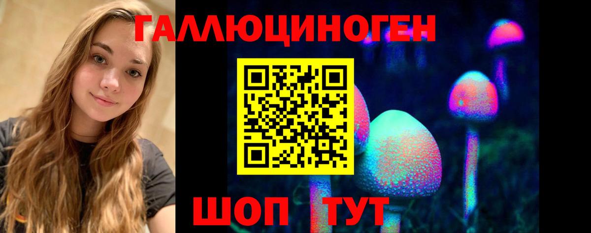 Псилоцибиновые грибы GOLDEN TEACHER Кольчугино